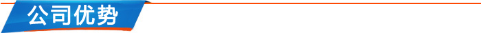 公司優勢 公司優勢